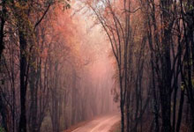 仙霞路茶馆推荐盘点(仙霞路饭店)