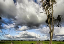 1 城市中的绿洲：上海河边后花园菜地养生之旅(上海的后花园是)