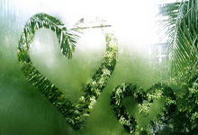 上海后花园楼凤桑拿：养生新时尚秘境探幽