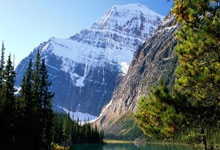 上海前滩后花园：宜居宜养，品质生活新选择(前滩后院最新消息)