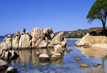 “品茗论道，上海沙龙里的茶艺风情”